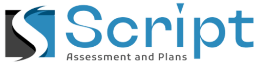 Script Assessment and Plans